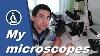 032 How Good Is The Image Quality Of Cheap And Expensive Microscopes