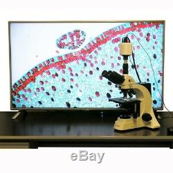 1080p HDMI C-Mount Digital Microscope Camera System