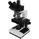 40x-1600x Biological Compound Lab Microscope Trinocular Halogen + Camera Adapter