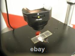 Hund Wilovert S Inverted Trinocular Photo Phase Microscope +5MP Camera