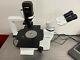 Labomed Tcm 400 Inverted Phase Contrast Microscope + 5mp Camera