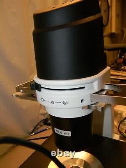Laxco LMI6-PH1 Phase Contrast Microscope with SeBaCam5C 5.1 MP Camera, 4X, 20X