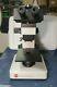 Leitz Labovert Fs Inverted Microscope, Camera Adapt, Calibrated And Serviced