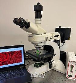 Lieca DM DMLB Fluorescence Microscope Laptop +CAM