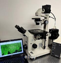 Nikon Diaphot TMD Fluorescence Phase Inverted Microscope + 5MP Cam Laptop