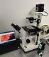 Nikon Diaphot Tmd Led Fluorescence Phase Inverted Microscope + 5mp Laptop