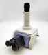 Nikon Microscope Eclipse E800 Trinocular Tilting Ergo Head With Camera Adapter