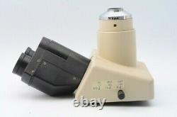 Nikon Model T Trinocular Microscope Head withC-Mount Photo Camera Adapter 22872