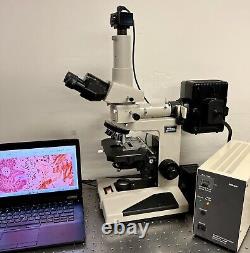 Nikon Optiphot Fluorescence Trinocular Microscope + 5MP Cam and Laptop