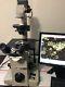 Nikon Tms Inverted Phase Contrast Microscope Ph 4x 10x 20x New Cosmetic Camera