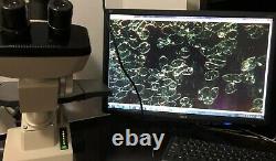 Nikon TMS Inverted Phase Contrast Microscope Phase 4X 10X 20X Obj 2 phase annuli