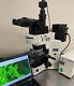 Olympus Bx41 Ergo Fluorescence Microscope Trinocular With 5mp Camera System