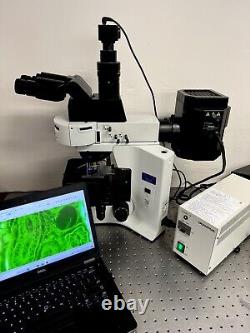 Olympus BX41 ERGO Fluorescence Microscope Trinocular with 5MP Camera system