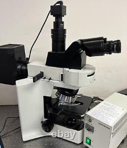 Olympus BX41 ERGO Fluorescence Microscope Trinocular with 5MP Camera system