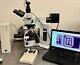 Olympus Bx51 Microscope Dic Bf/df Nomarski With Prior Automated Stage & 10mp Cam