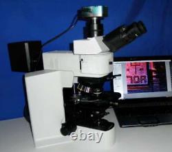 Olympus BX51 Microscope Nomarski DIC BF/DF LWD Semi/MET