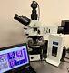 Olympus Bx51 Microscope Nomarski Dic Bf/df Universal Semi/met