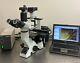Olympus Ckx41 Fluorescence Phase Contrast Inverted Microscope 5mp Camera +laptop