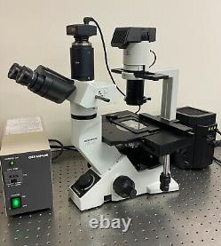 Olympus CKX41 Fluorescence Phase Contrast Inverted Microscope 5MP Camera +Laptop