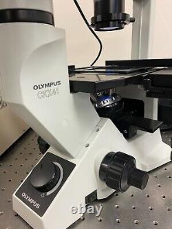 Olympus CKX41 Fluorescence Phase Contrast Inverted Microscope 5MP Camera +Laptop