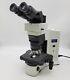 Olympus Microscope Bx45 Pathology / Mohs With Fluorites & Camera Port