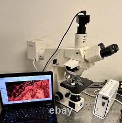 Zeiss AxioSkop 20 Fluorescence Phase Microscope CAM + Laptop
