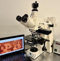Zeiss Axioplan Fluorescence Microscope 5MP Cam + Laptop