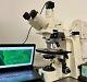 Zeiss Axioplan Universal Led Fluorescence Microscope 5mp Cam Laptop
